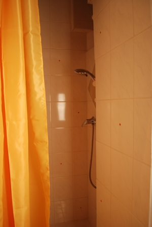 shower in the romantic flat in vienna